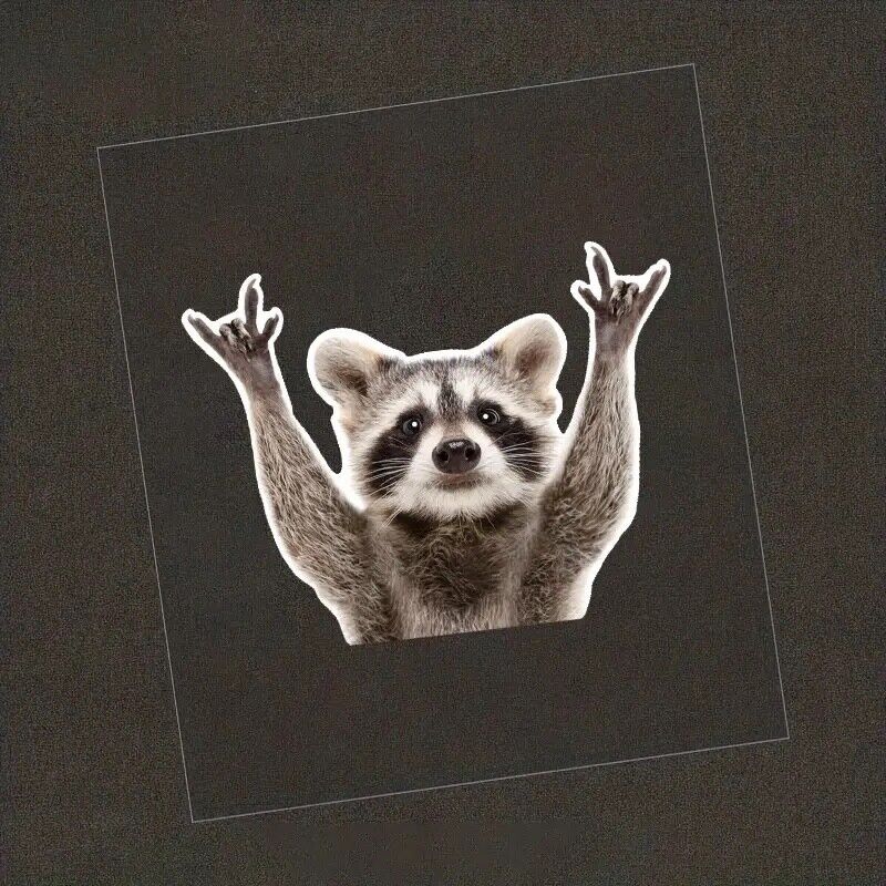 Raccoon Rock Sign Car Decal - Decal, Sticker, Vinyl Decal, Car Sticker