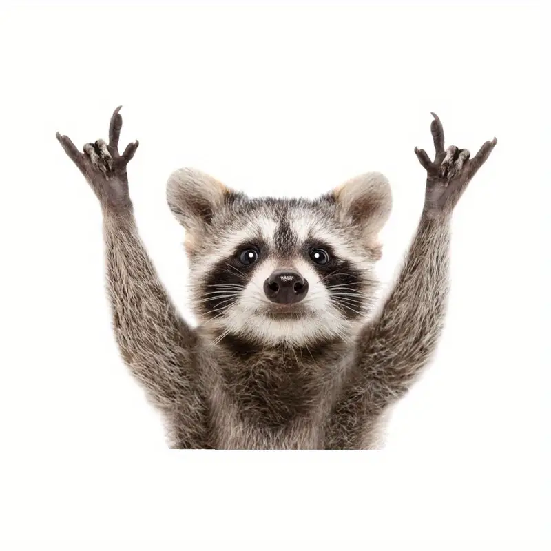 Raccoon Rock Sign Car Decal - Decal, Sticker, Vinyl Decal, Car Sticker