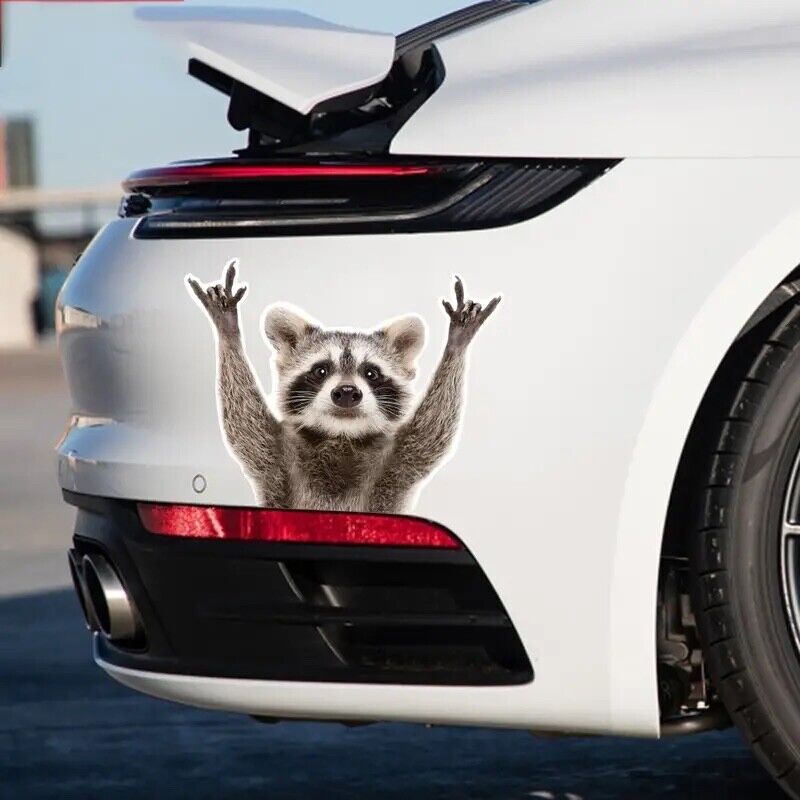 Raccoon Rock Sign Car Decal - Decal, Sticker, Vinyl Decal, Car Sticker