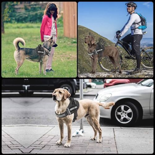 Service Dog Adjustable Harness w/ Handle, Reflective