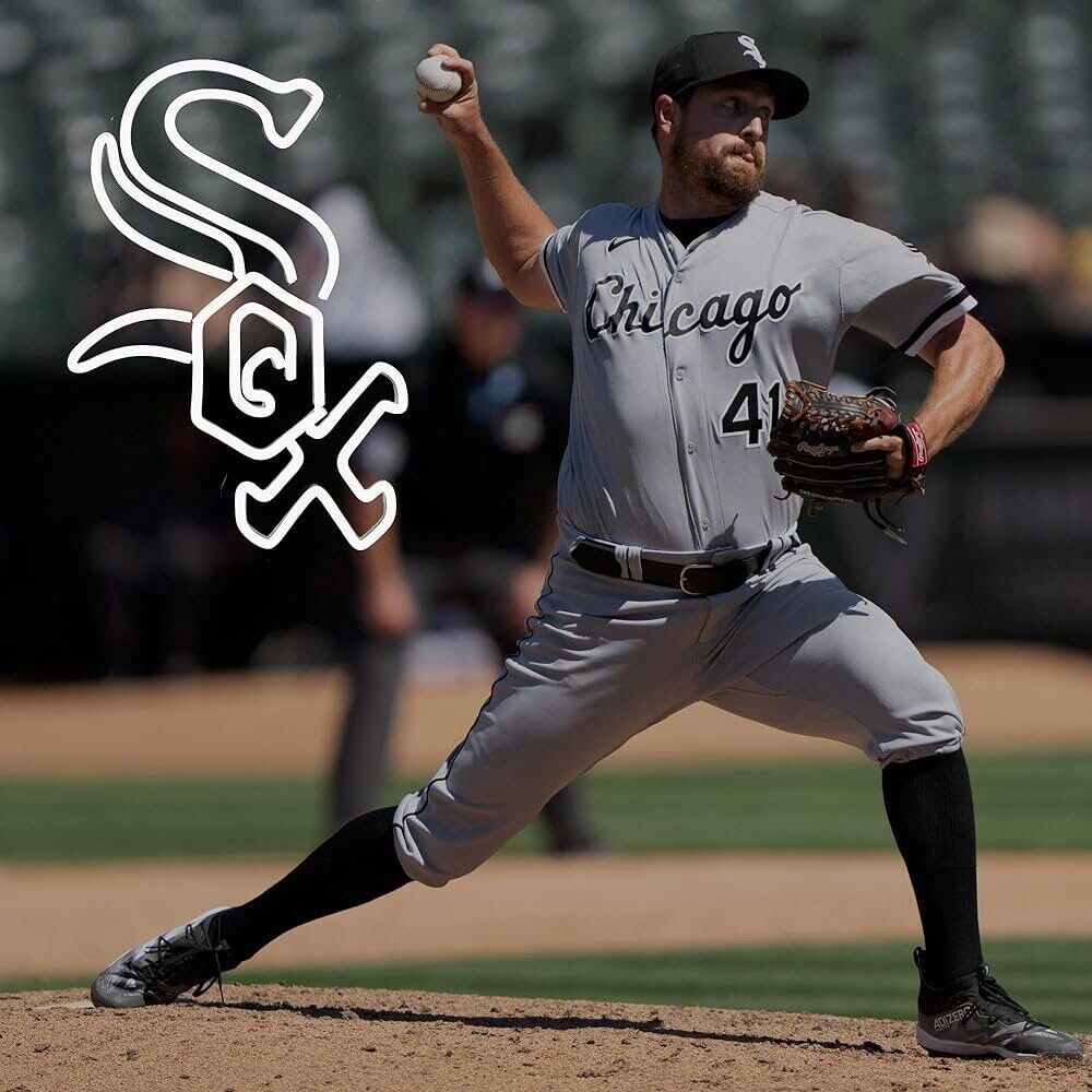 White Sox Baseball Neon Sign LED For Bar, Garage , Man-cave 15.6” x 11” inch