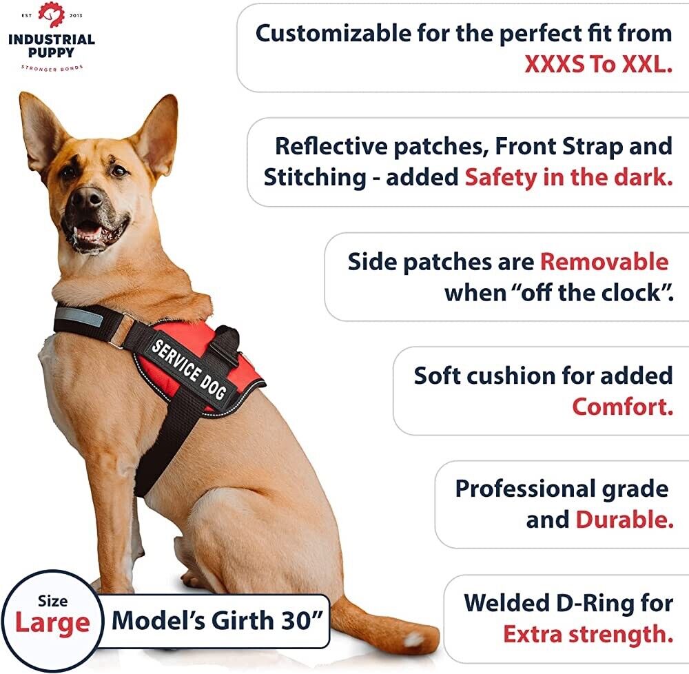 Service Dog Comfortable Mesh Design Vest with Hook and Loop Straps and Handle