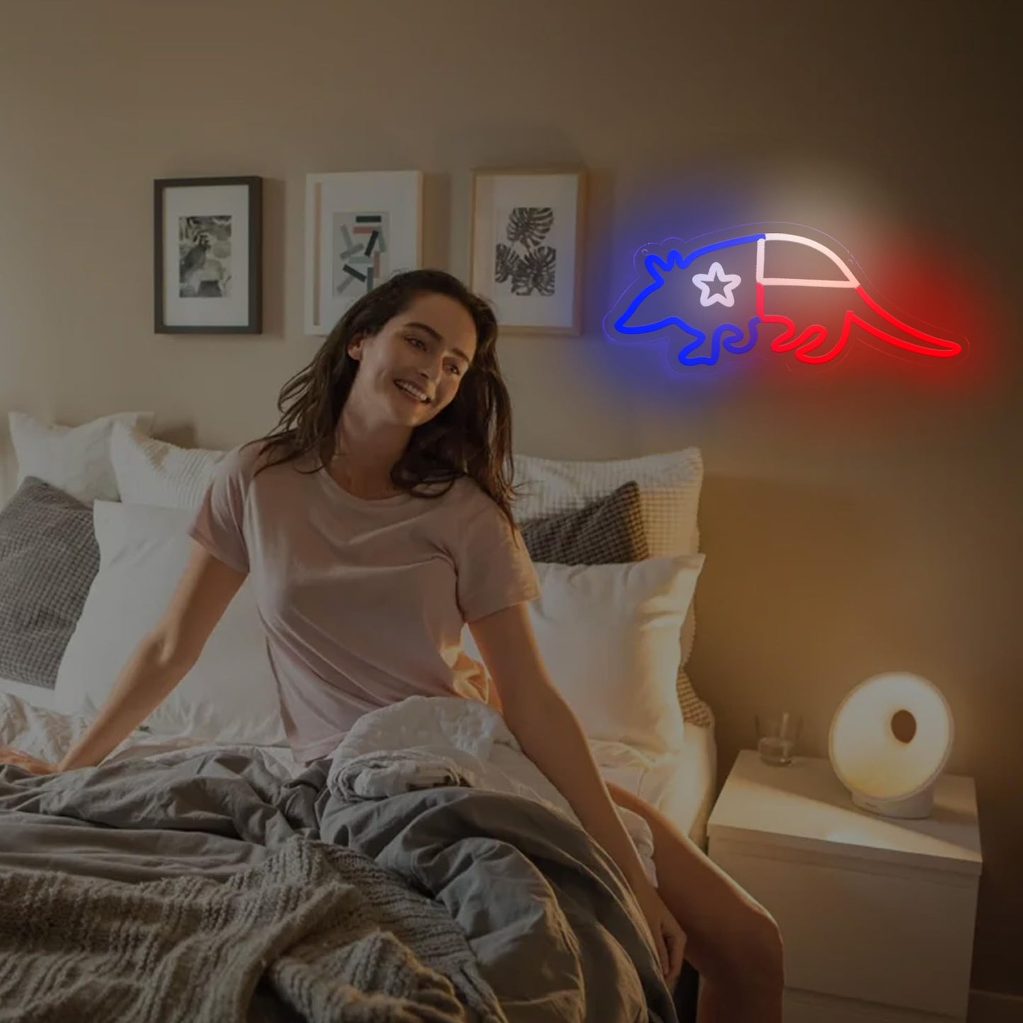 Texas Armadillo LED Neon Sign, Dimmable, USB Powered, 14x13 inches