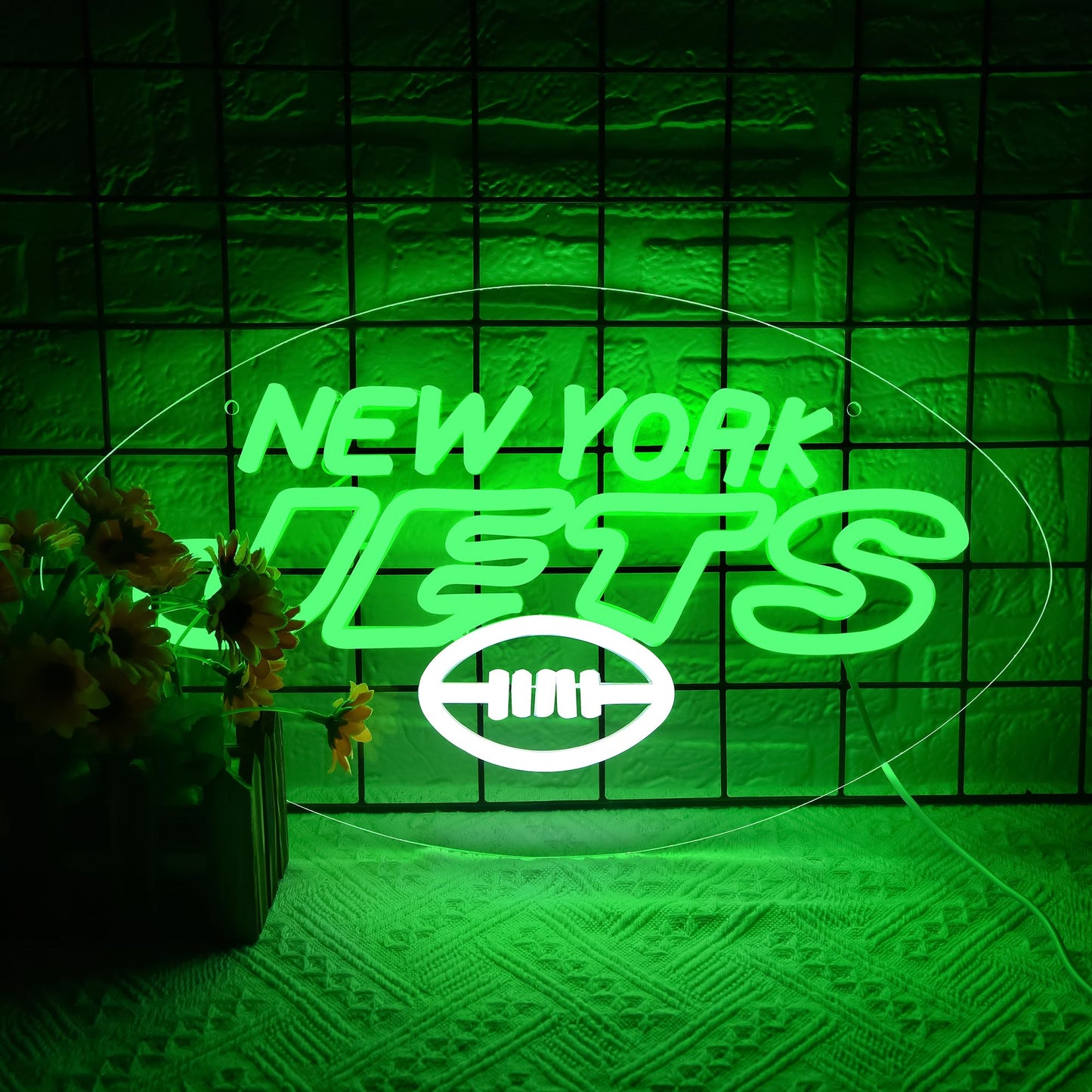 Jets Neon LED Hanging Sign, New York, USB Powered, 16 x 9 inches